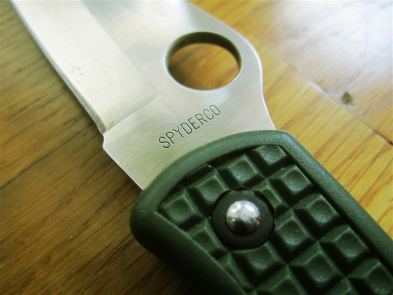 Enlarge sp-end-g-4.jpg
